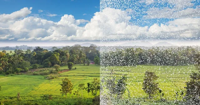 Conoce el Síndrome de Nieve Visual (Visual Snow Syndrome)